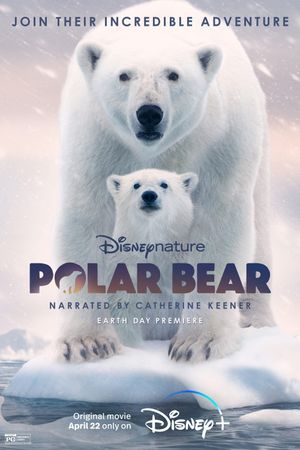 Polar Bear's poster