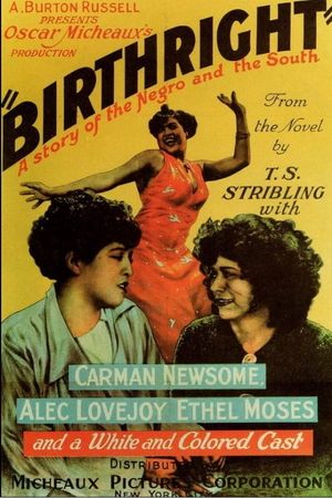 Birthright's poster