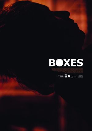 Boxes's poster image