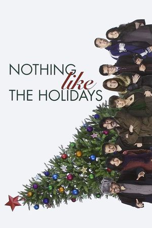 Nothing Like the Holidays's poster