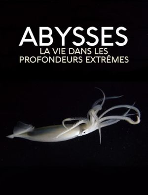 Extreme der Tiefsee - Abysses's poster