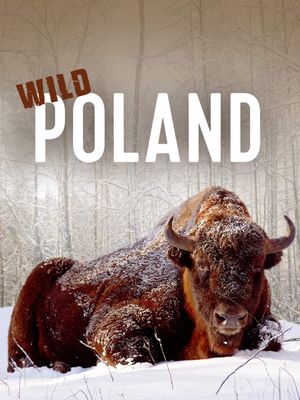 Wild Poland's poster image