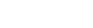 Vizontele's poster