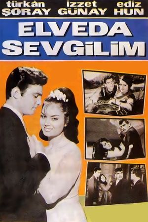 Good Bye, My Lover's poster