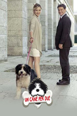 Un cane per due's poster image