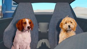 Fast and Furriest's poster