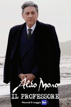 Aldo Moro - il Professore's poster
