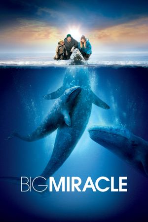 Big Miracle's poster image