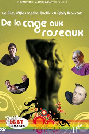 De la cage aux roseaux's poster