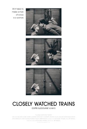 Closely Watched Trains's poster