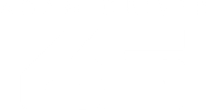 65's poster