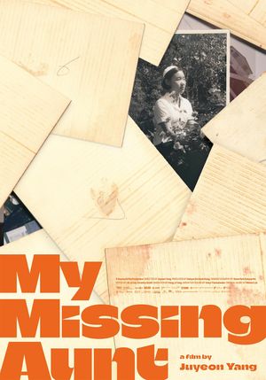 My Missing Aunt's poster