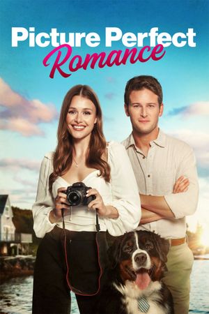 Picture Perfect Romance's poster