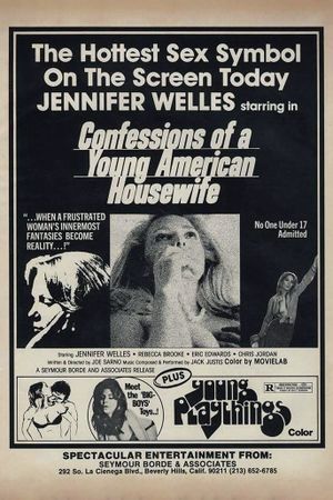 Confessions of a Young American Housewife's poster