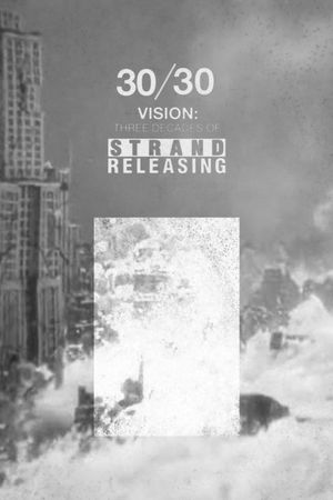 30/30 Vision: 3 Decades of Strand Releasing's poster