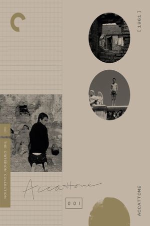 Accattone's poster