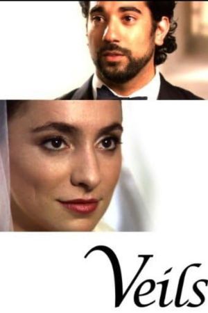 Veils's poster
