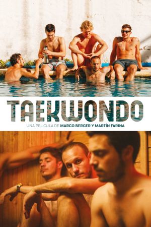 Taekwondo's poster