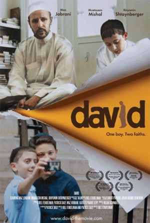 David's poster