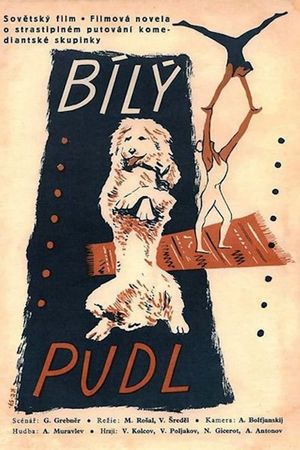 The White Poodle's poster