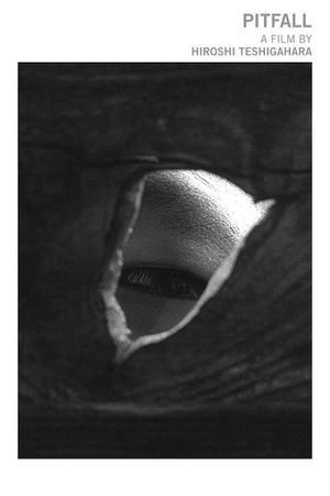 Pitfall's poster
