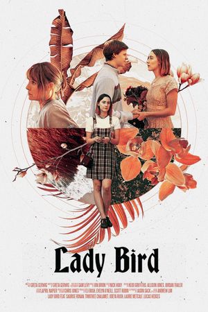 Lady Bird's poster