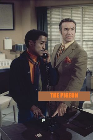 The Pigeon's poster image