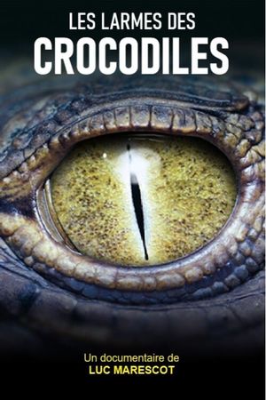 Les larmes des crocodiles's poster