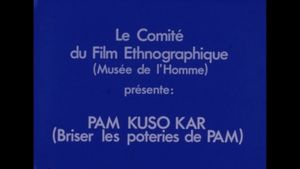 Pam Kuso Kar (Breaking Pam's Vases)'s poster