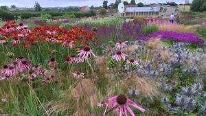 Five Seasons: The Gardens of Piet Oudolf's poster