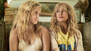 Snatched's poster