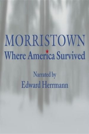 Morristown: Where America Survived's poster