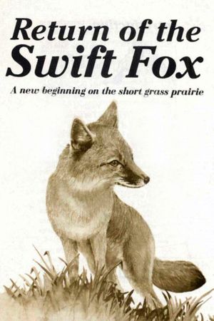 Return of the Swift Fox's poster image