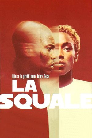 The Squale's poster