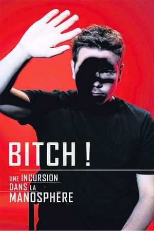 Bitch! Une incursion dans la manosphère's poster