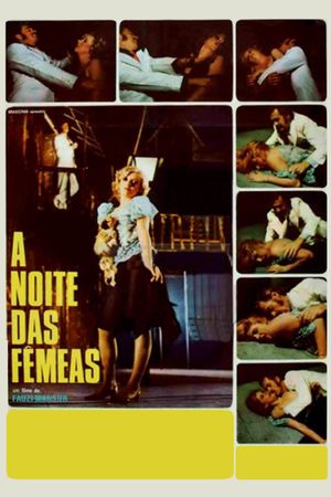 A Noite das Fêmeas's poster