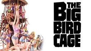 The Big Bird Cage's poster