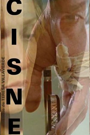 Cisne's poster