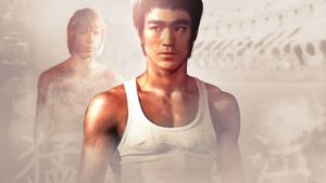 The Way of the Dragon's poster