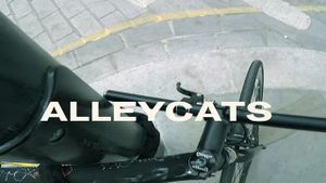 Alleycats's poster