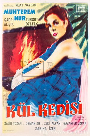 Kül kedisi's poster