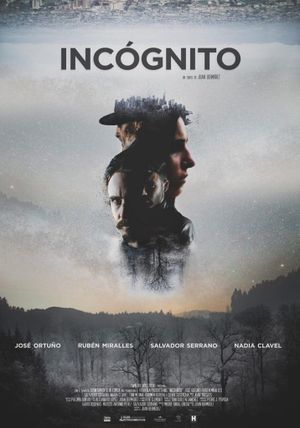 Incógnito's poster
