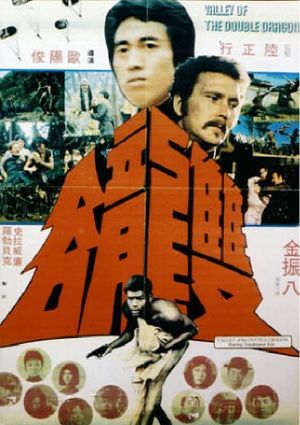 Valley of the Double Dragon's poster