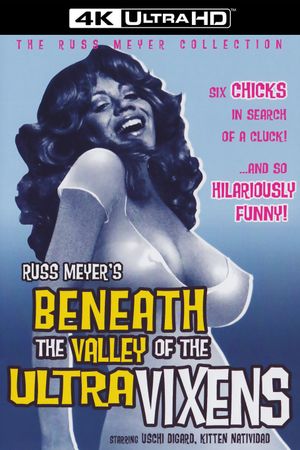 Beneath the Valley of the Ultra-Vixens's poster