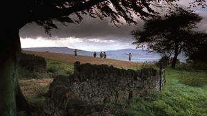 Barry Lyndon's poster