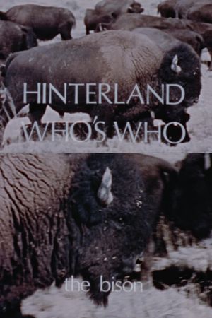 Hinterland Who's Who: The Bison's poster