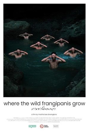 Where the Wild Frangipanis Grow's poster