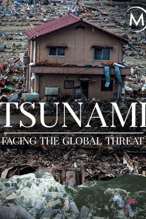 Tsunamis: Facing a Global Threat's poster