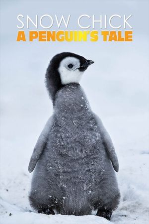 Snow Chick: A Penguin's Tale's poster image