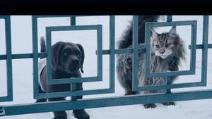 Cat and Dog's poster